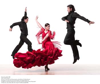 Flamenco 